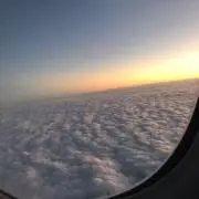 キノコ