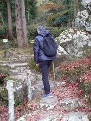 まこひろの画像