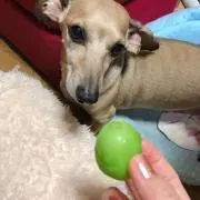 ryamyuの画像