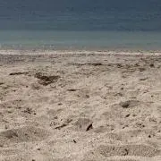 しまっち