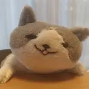 まろまろの画像