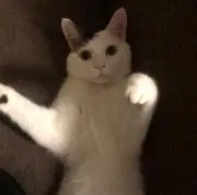 まさと