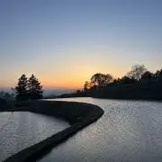 shinvol