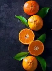 高橋サッパリの画像