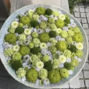 ラベンダー⭐️の画像
