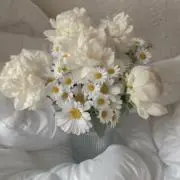 MAUの画像