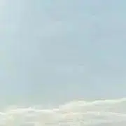 ルの画像