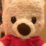 プーʕ•ᴥ•ʔの画像