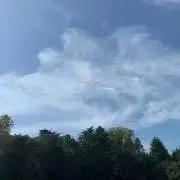 たけ4の画像
