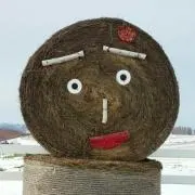 うさぎの画像