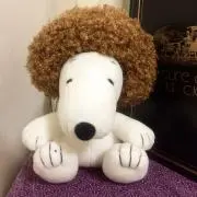 らんの画像
