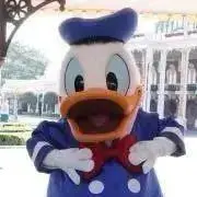 93の画像
