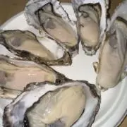 Junk29の画像