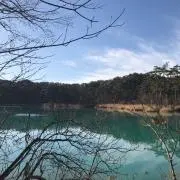 L*y D‘ i A 正規品の画像