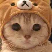 *nonoco*プロフ読んでください*