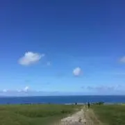 tokotokoの画像