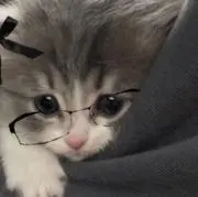 lili