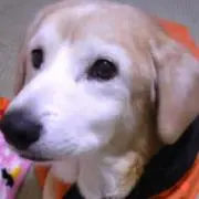ゆうたんの画像