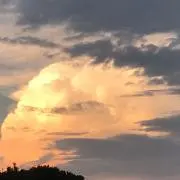 スライドの画像