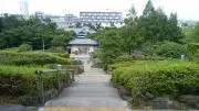murakamiの画像