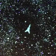 ななの画像