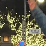 油淋鶏
