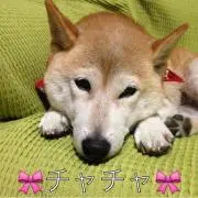 まりも