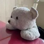 ももすけの画像