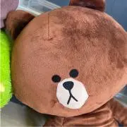 せっちゃんの画像