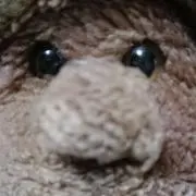 ごり