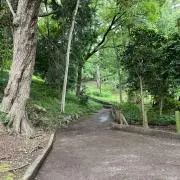 でやんす