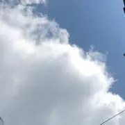 takeの画像