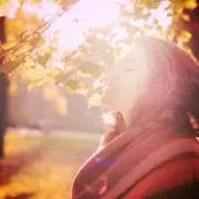 forestの画像