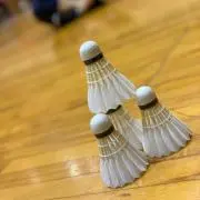 時任の画像