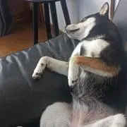 断捨離します