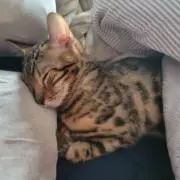 なちなちの画像