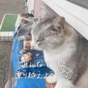 ゆま♪プロフ一読お願いします。
