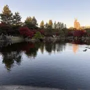 ケン⭐︎の画像