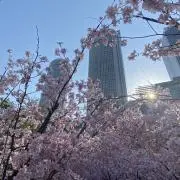 mp ◎ 全品匿名発送の画像