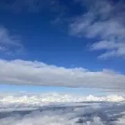 サラミの画像
