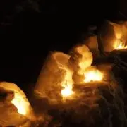 しろたびねこの画像