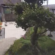 中村主水 迅速対応 誠実明朗の画像