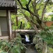 キヤマシノンの画像