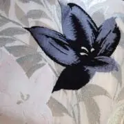 savaの画像