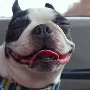 mmmの画像