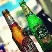 激レア 新品未使用タグ付 完売品】チェルシー ストライクパンツ ニット