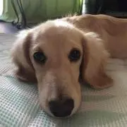 ♡ミルクっ♡