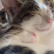 まさの画像