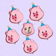 りこち