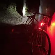 Tの画像
